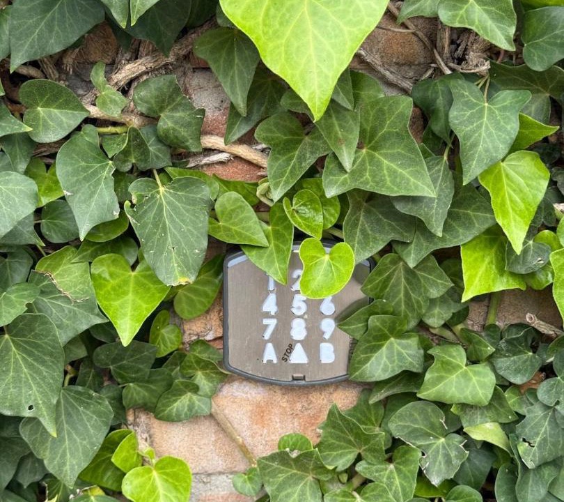 Photo of Outdoor in Gazzo Veronese