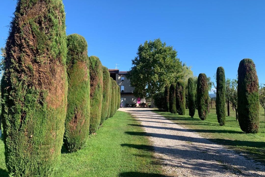 Photo of Others in Pescantina