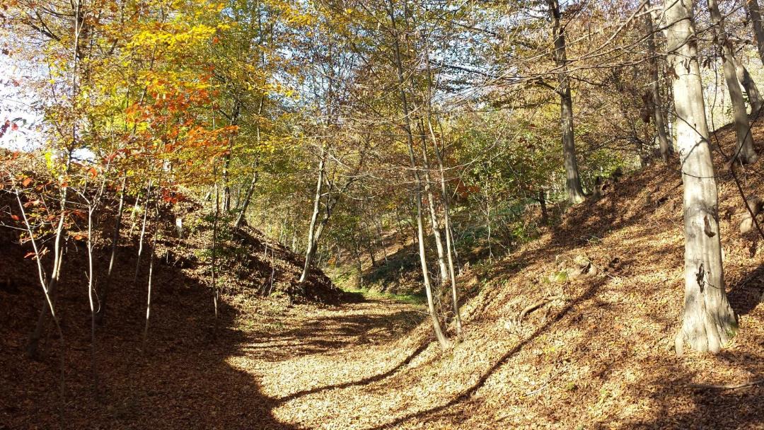 Photo of Others in Nervesa della Battaglia