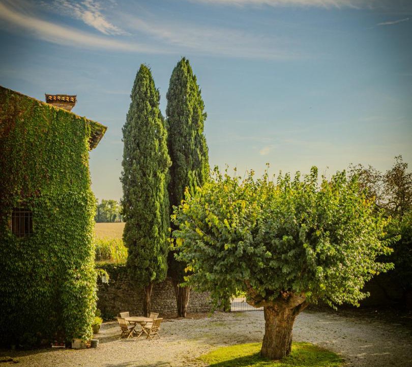 Photo of Others in Remanzacco