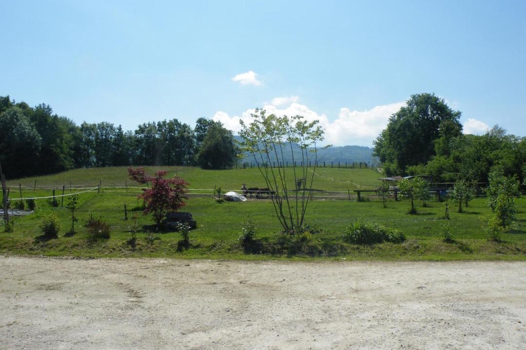 Photo of Others in Belluno