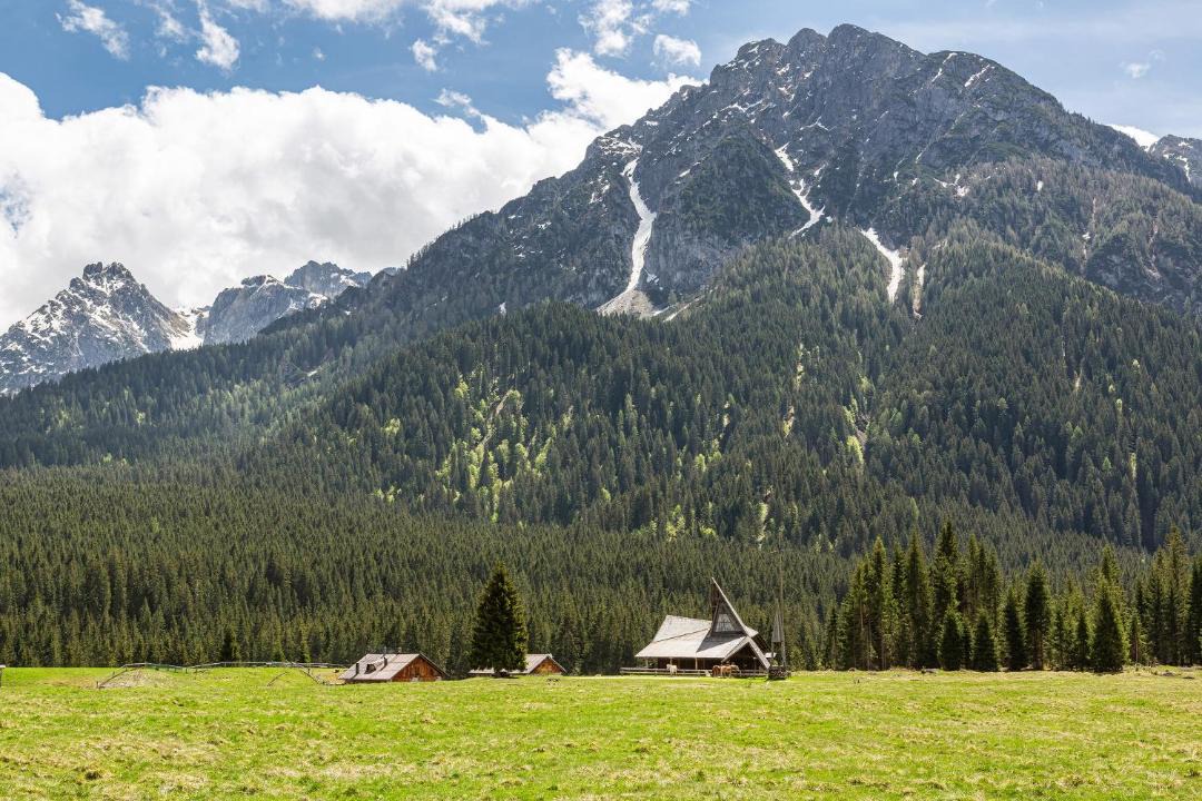 Photo of Others in San Pietro di Cadore