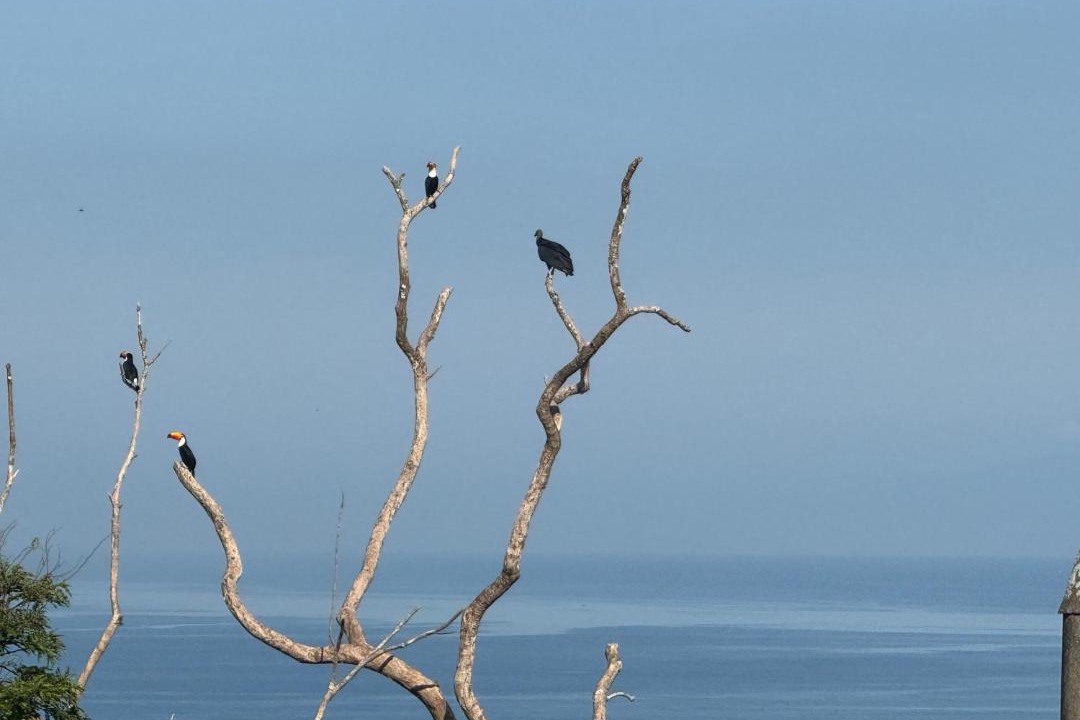 Photo of Others in Barra de Guaratiba