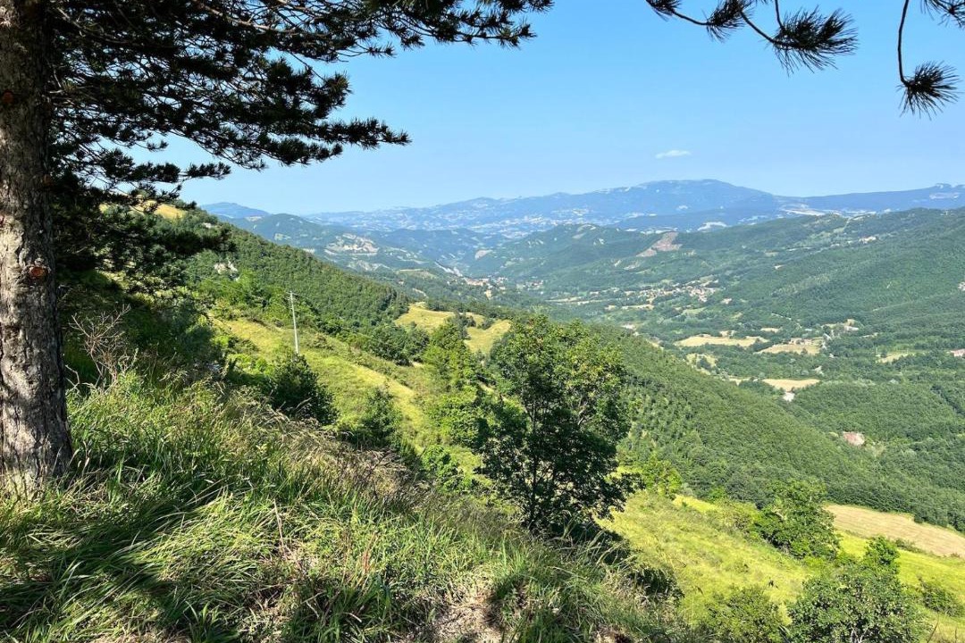 Photo of Others in Corrubbio di Negarine