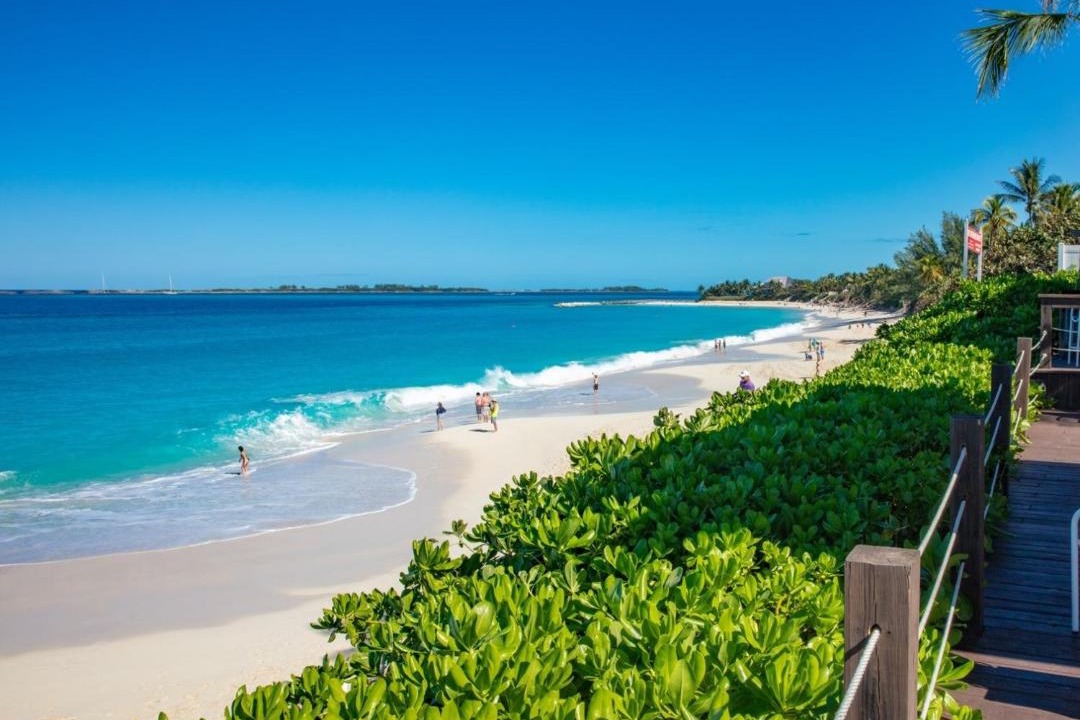 Photo of Others in Paradise Island
