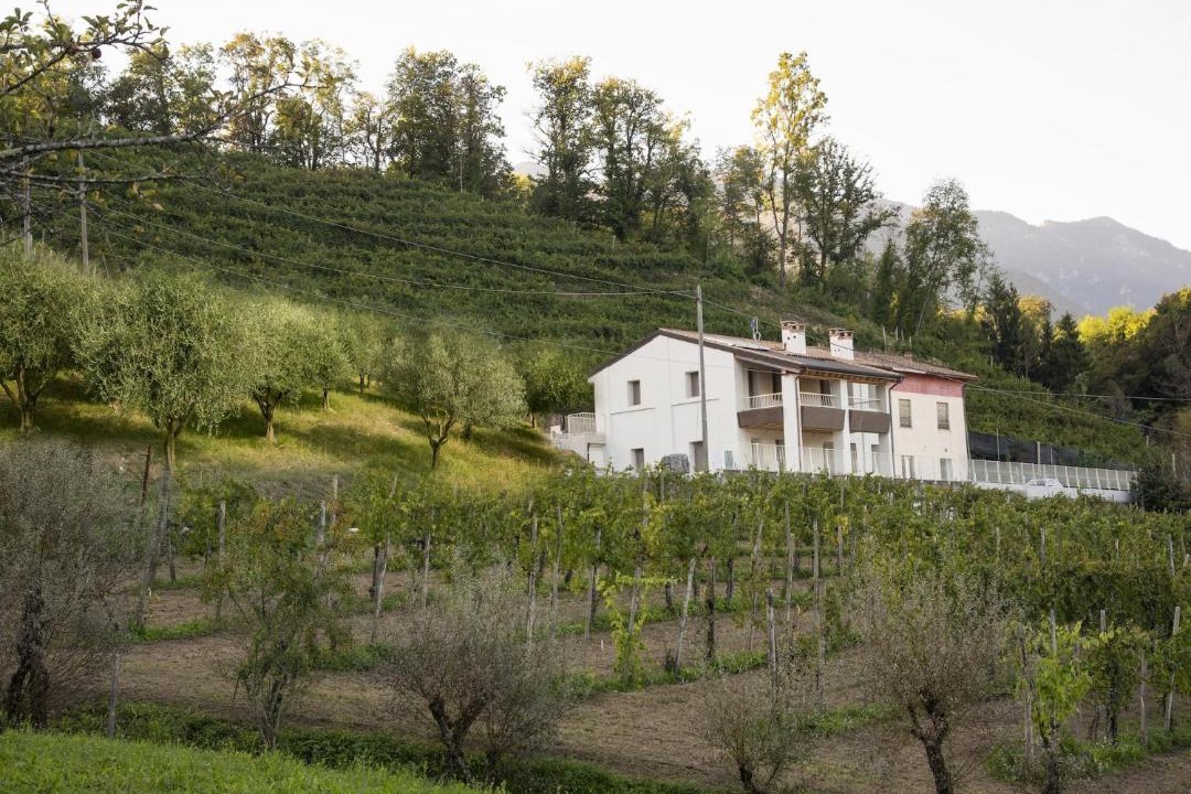 Photo of Others in Farra di Soligo