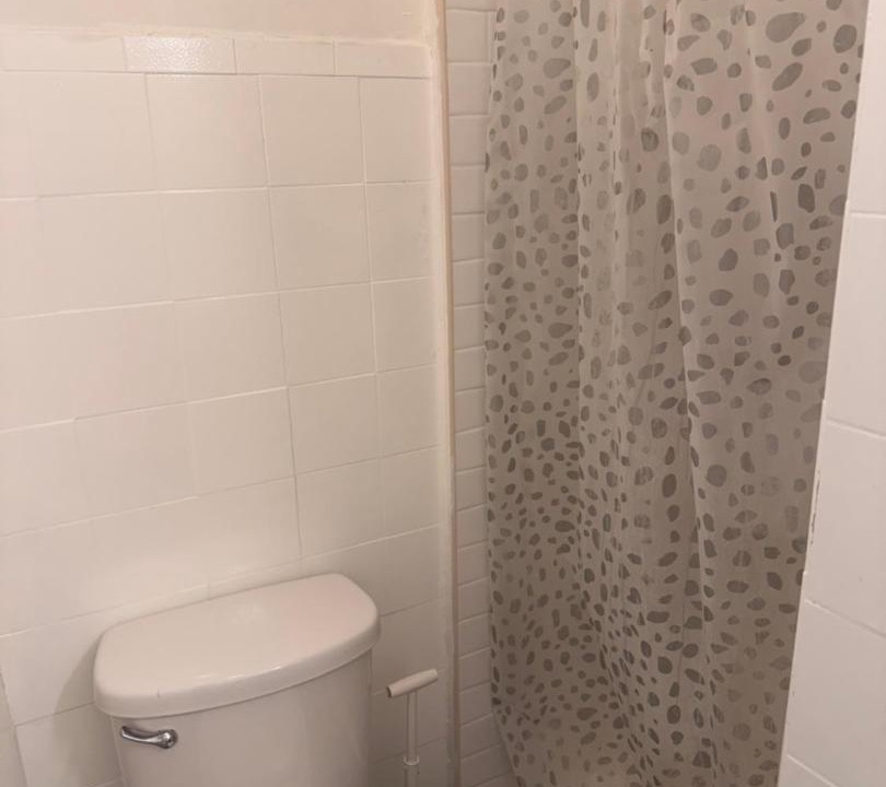 Photo of Bathroom in Harlem