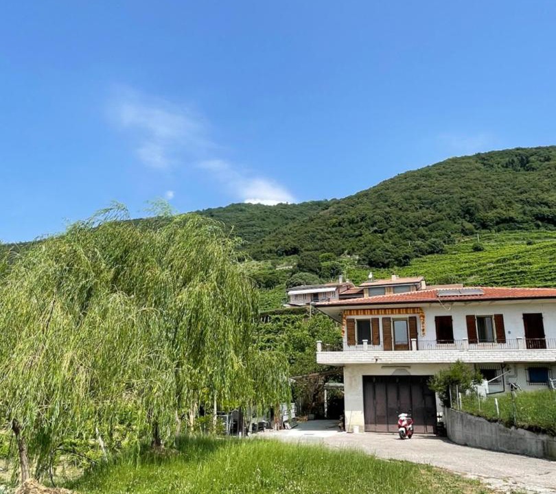 Photo of Others in Valdobbiadene