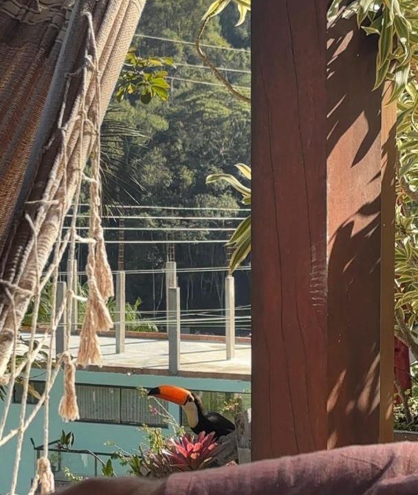 Photo of Others in Teresopolis