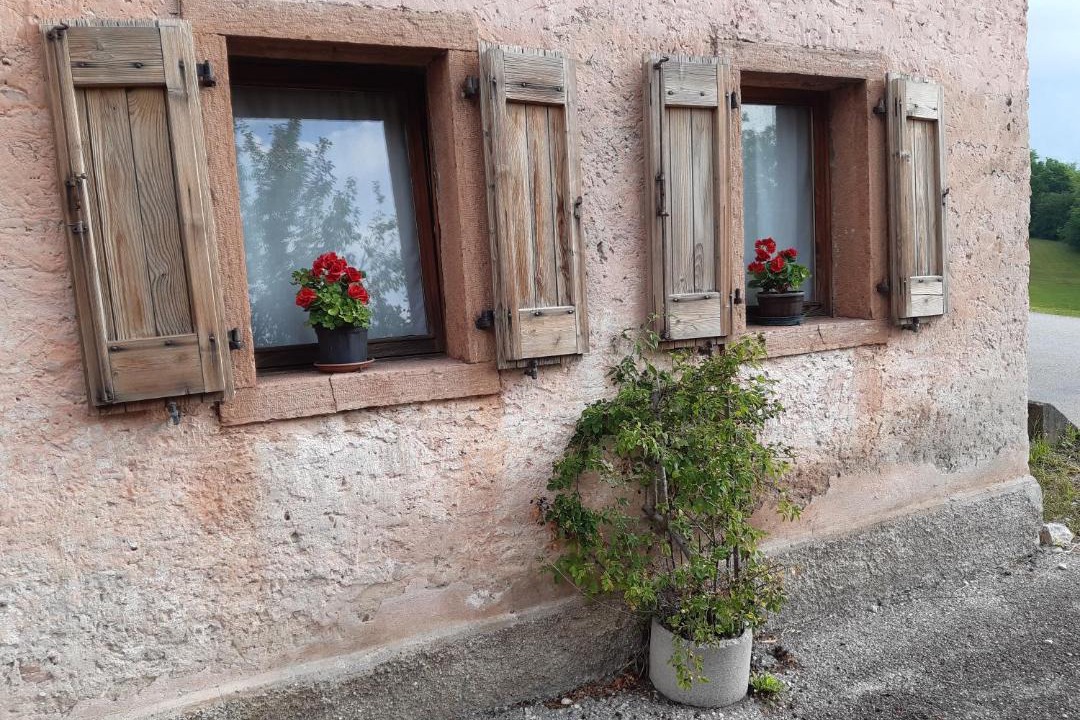 Photo of Others in Ponte nelle Alpi
