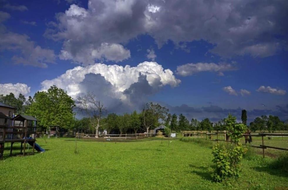 Photo of Others in San Biagio di Callalta