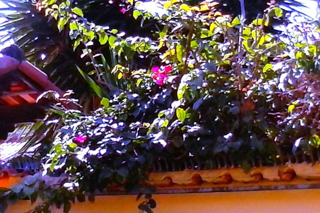Photo of Others in Niteroi