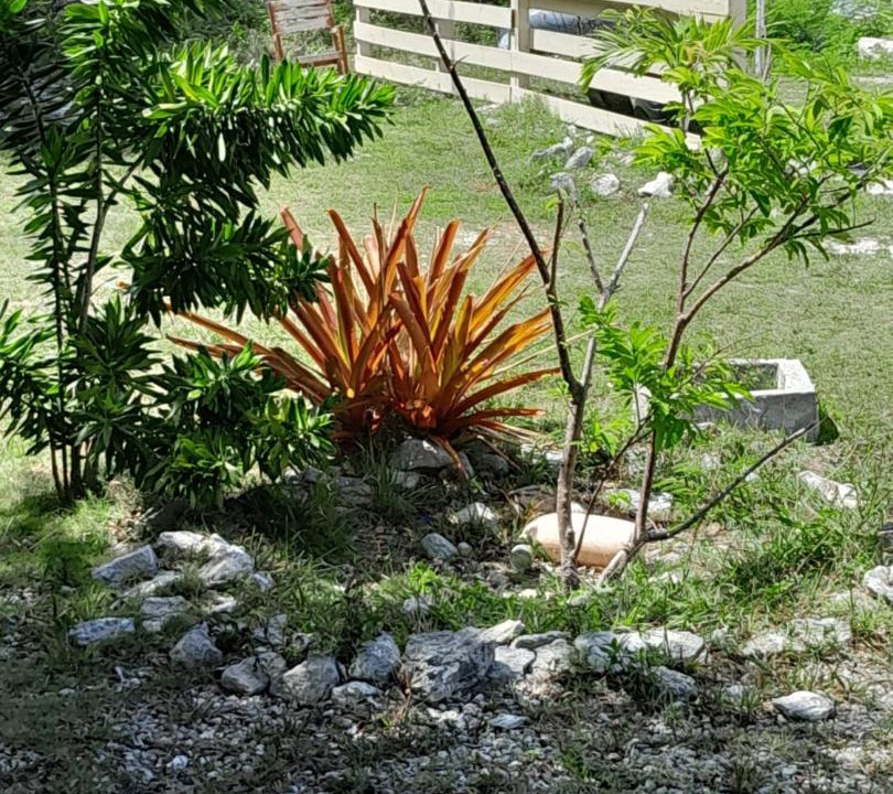 Photo of Outdoor in Farmer's Hill