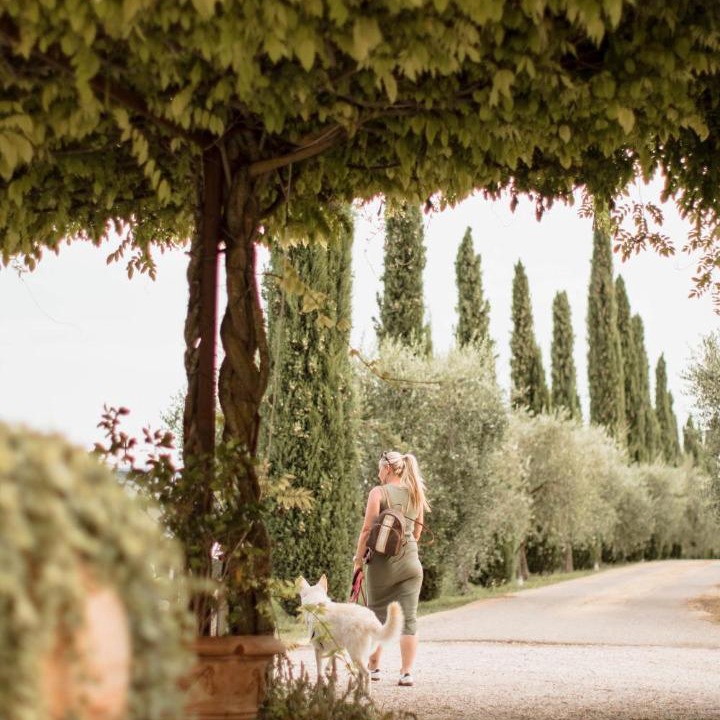 Photo of Others in Gargagnago di Valpolicella