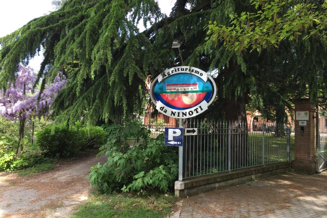 Photo of Others in Treviso