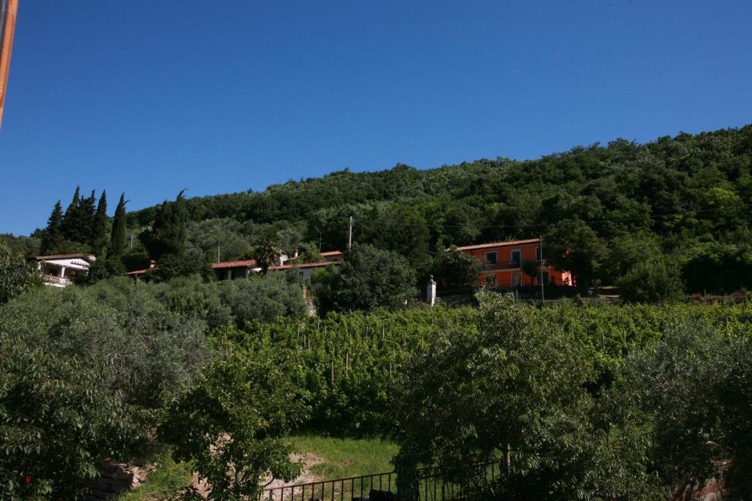Photo of Others in Cinto Euganeo