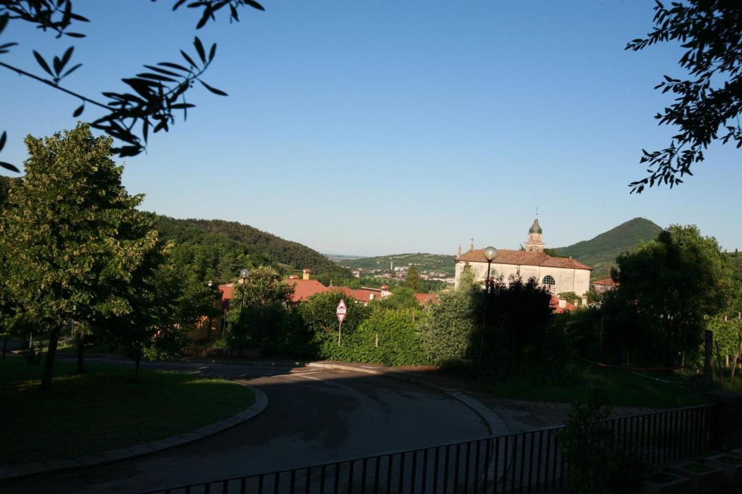 Photo of Others in Cinto Euganeo