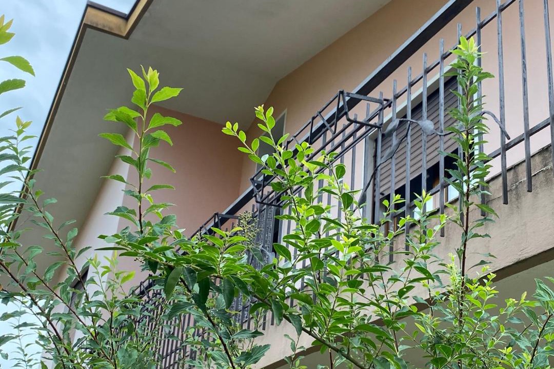 Photo of Patio Balcony in Pieve di Soligo