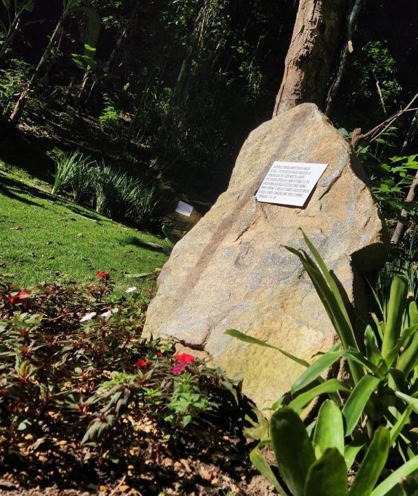 Photo of Outdoor in Morro Azul
