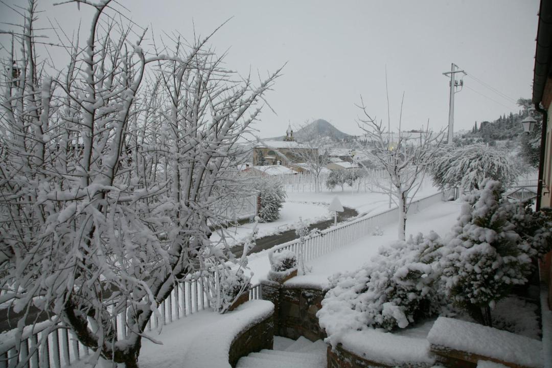 Photo of Others in Cinto Euganeo
