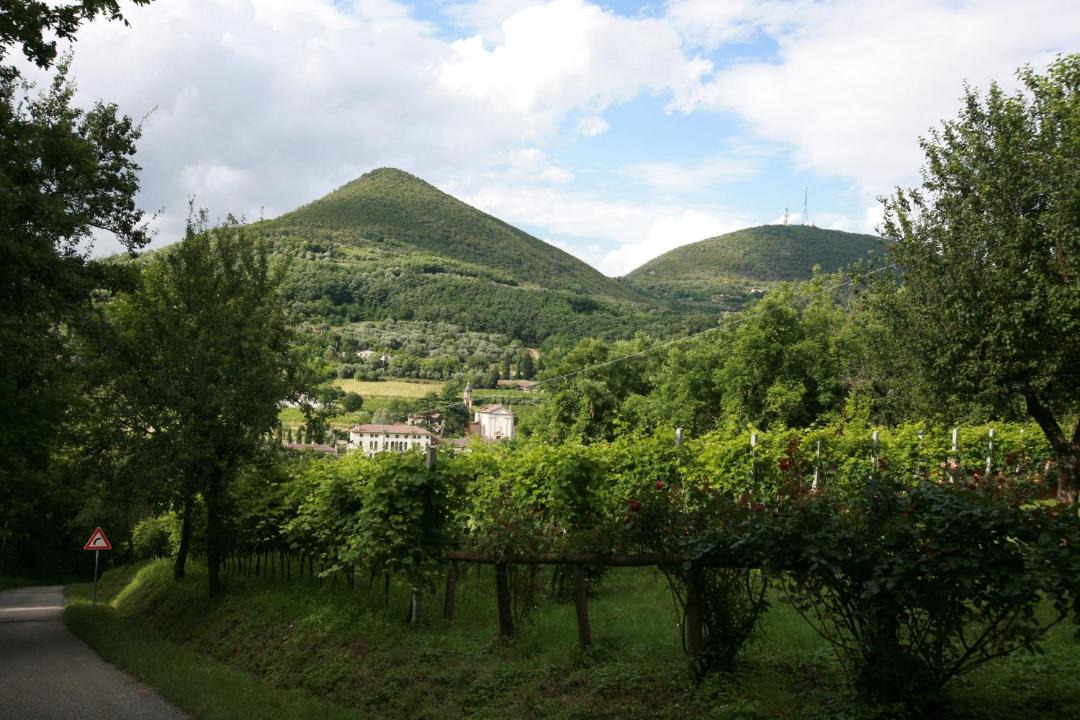 Photo of Others in Cinto Euganeo
