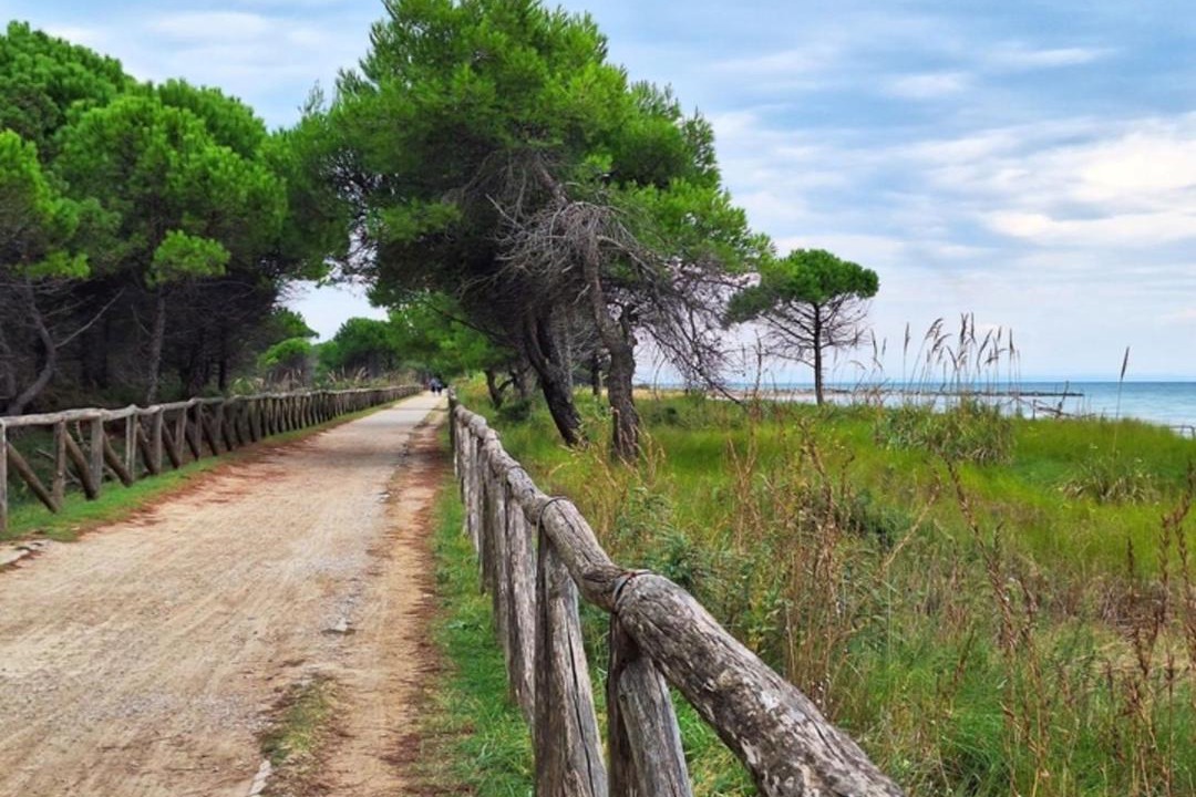 Photo of Others in Bibione Lido del Sole