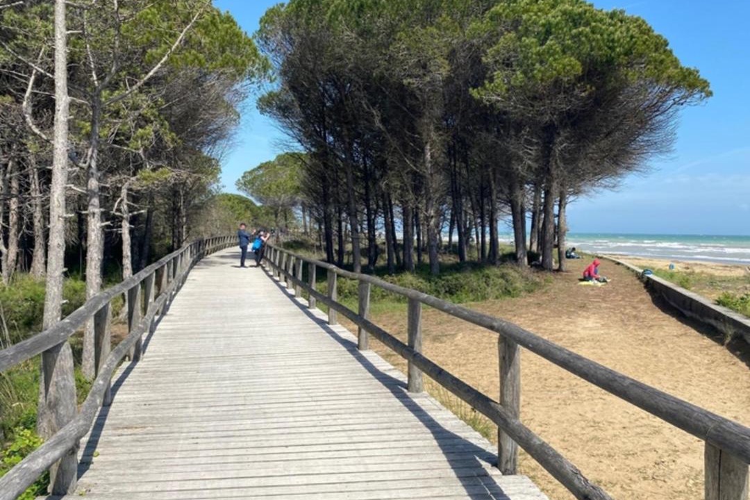 Photo of Others in Bibione Lido del Sole