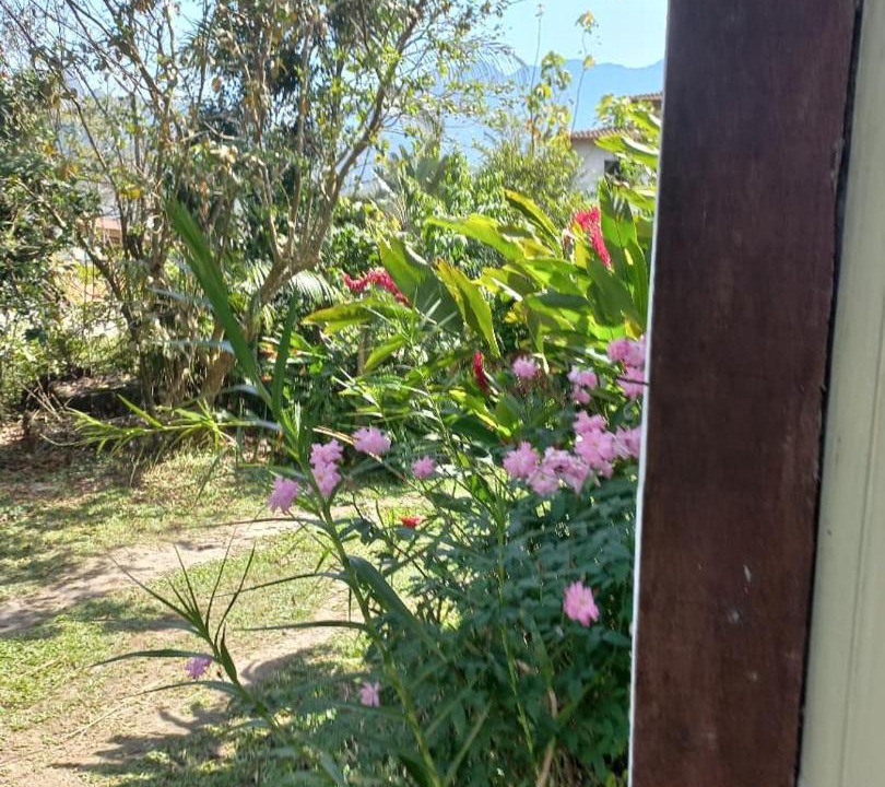 Photo of Others in Paraty