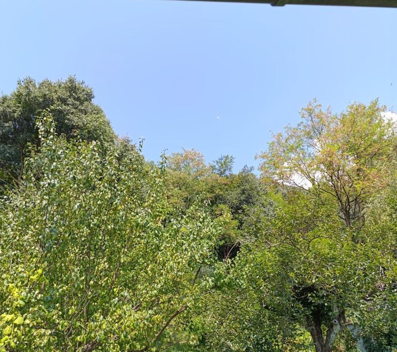 Photo of Others in Borso del Grappa