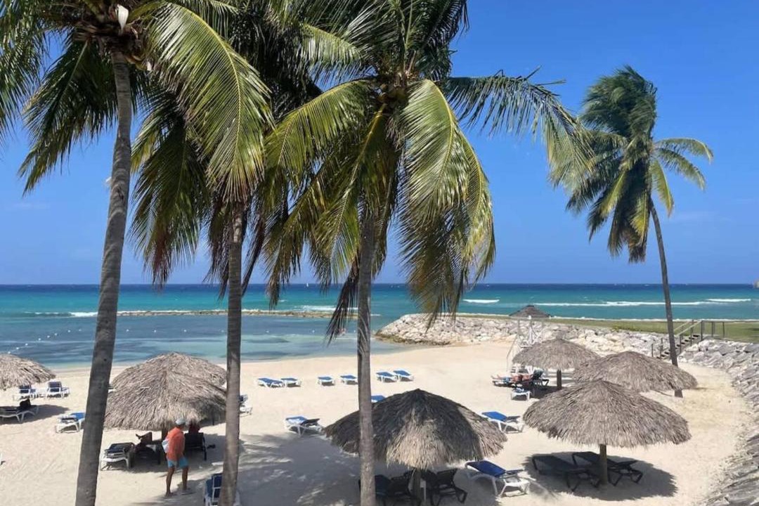 Photo of Others in Montego Bay