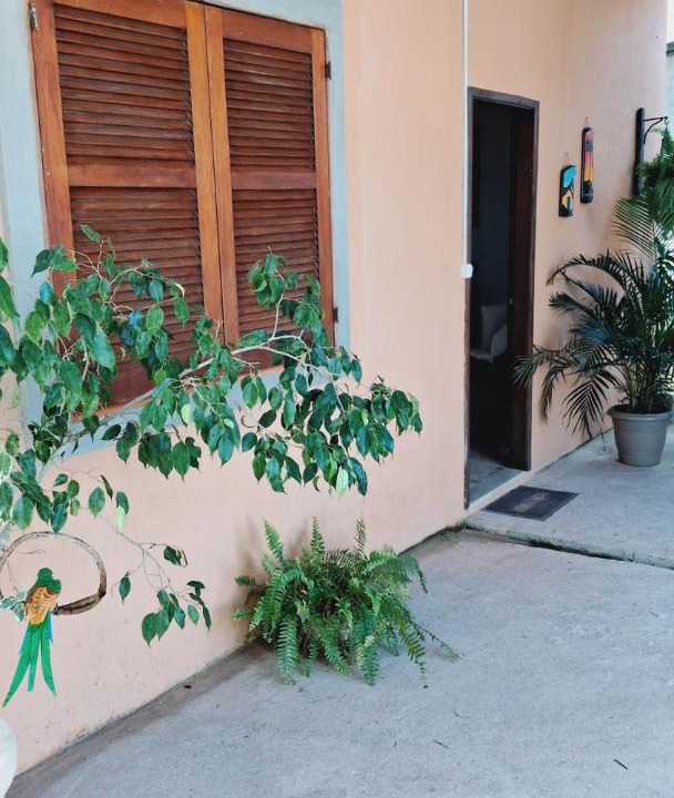 Photo of Others in Miguel Pereira