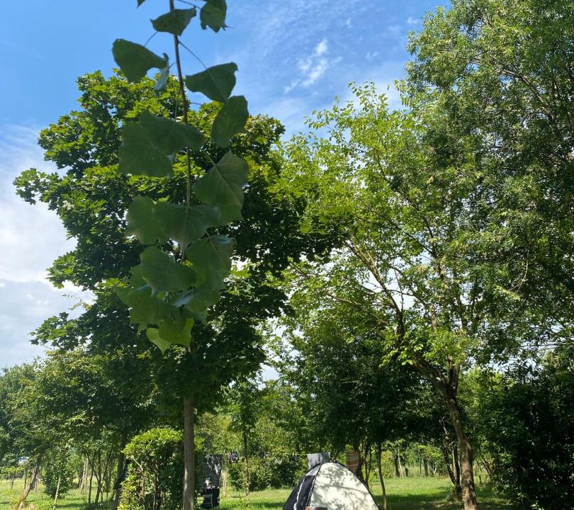 Photo of Outdoor in Ospedaletto di Pescantina