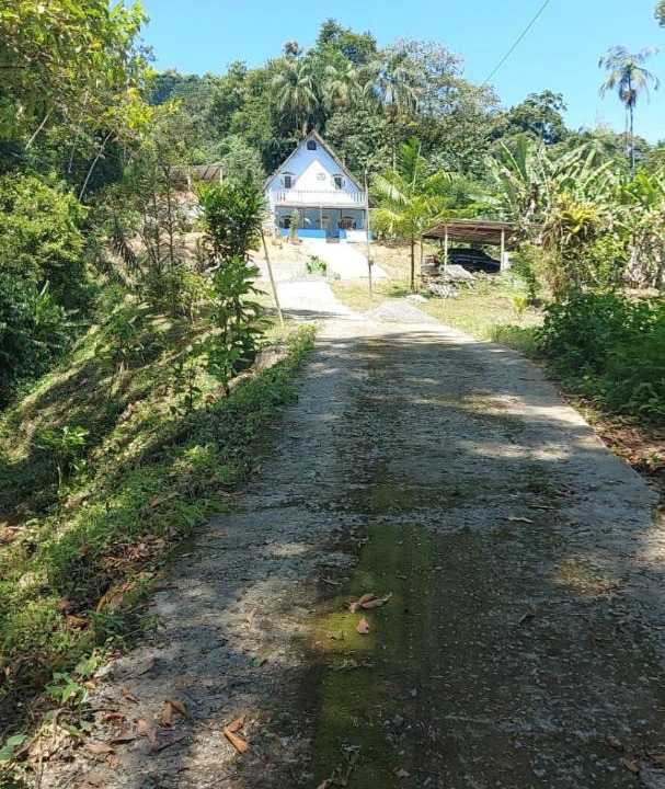 Photo of Others in Bracui