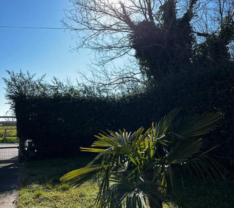 Photo of Outdoor in Codevigo