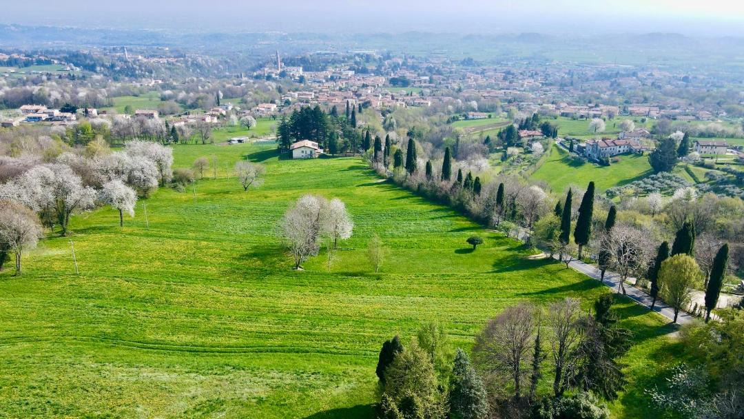 Photo of Others in Crespano del Grappa