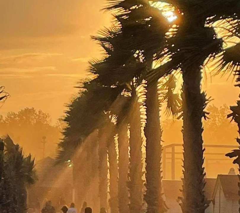 Photo of Others in Chioggia