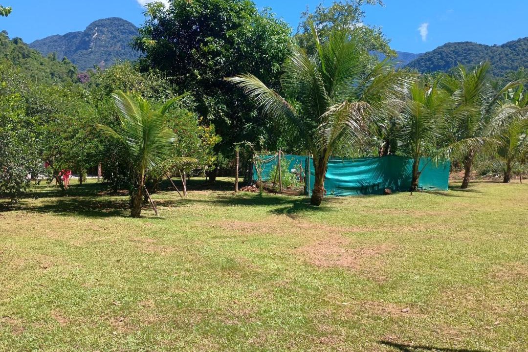 Photo of Outdoor in Barra Grande