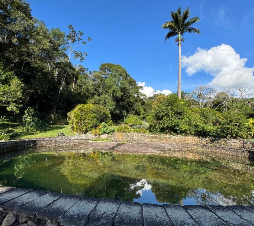 Photo of Others in Teresopolis