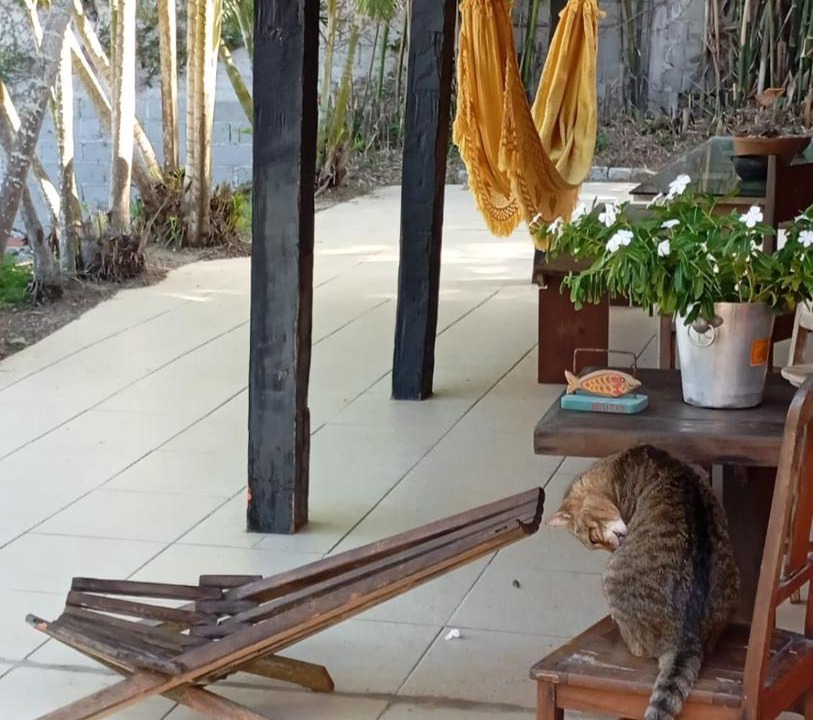 Photo of Others in Tucuns