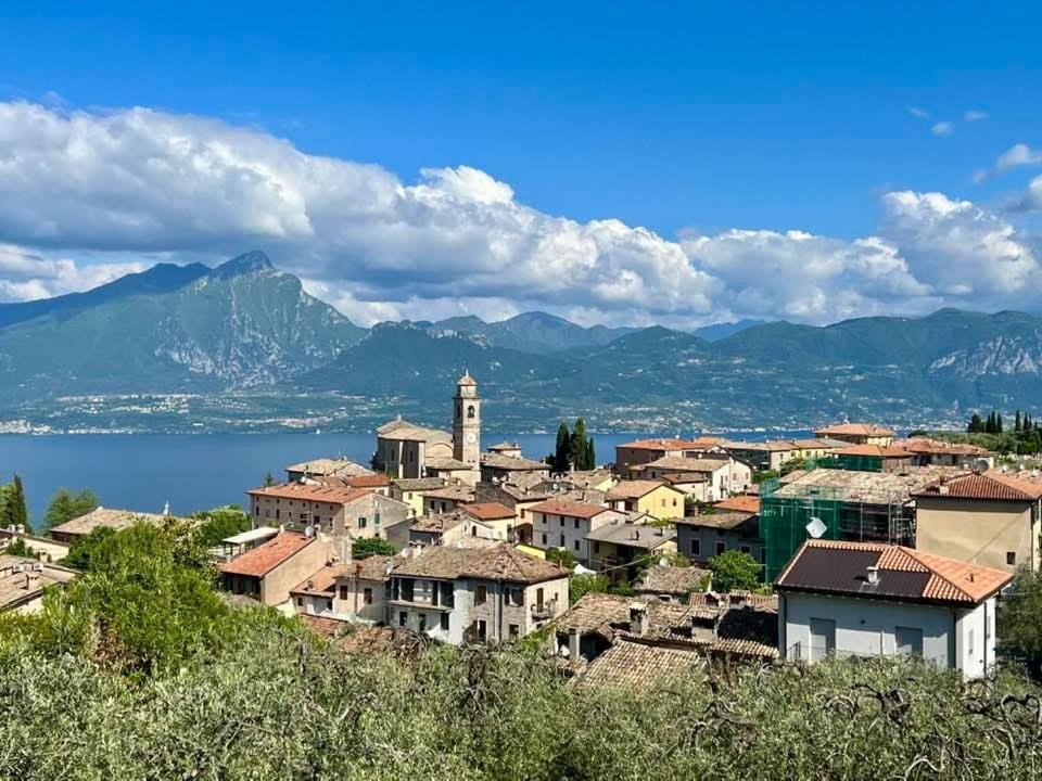 Photo of Others in Albisano
