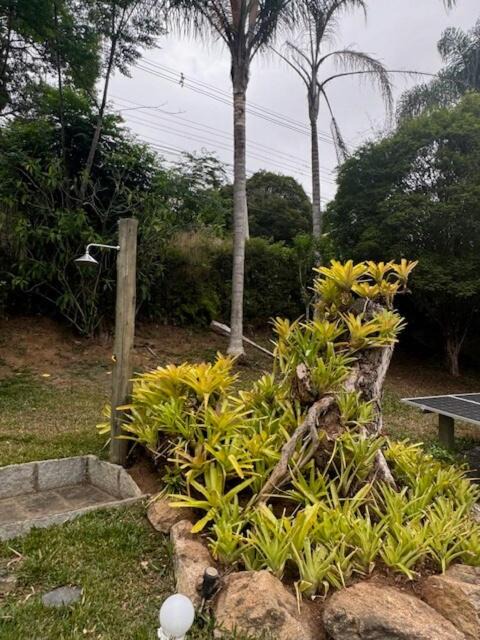 Photo of Outdoor in Araras