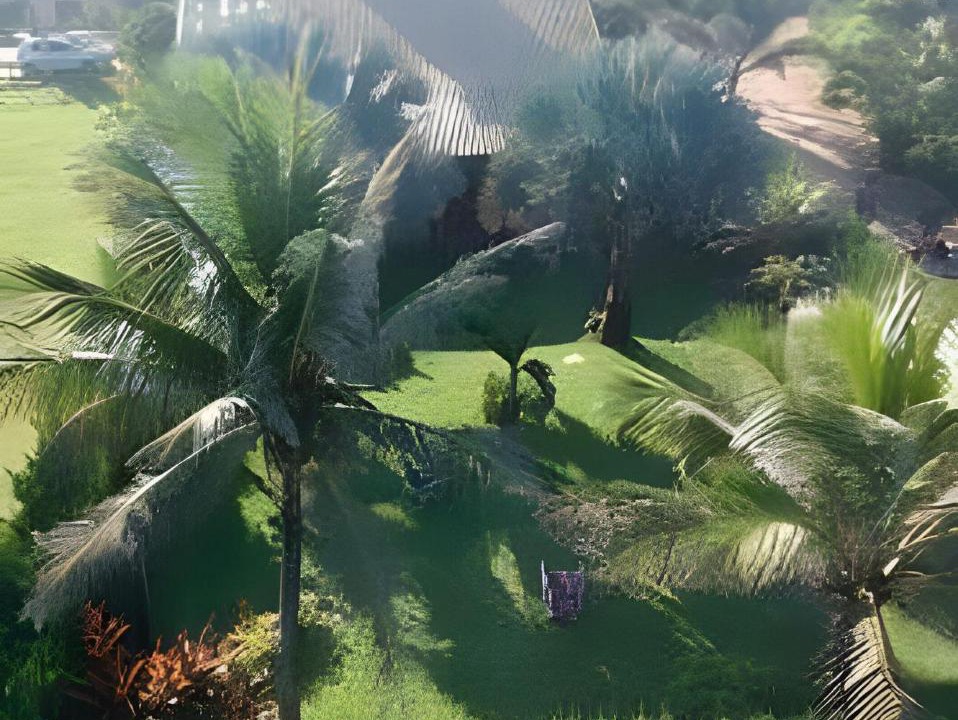 Photo of Others in Rio das Ostras