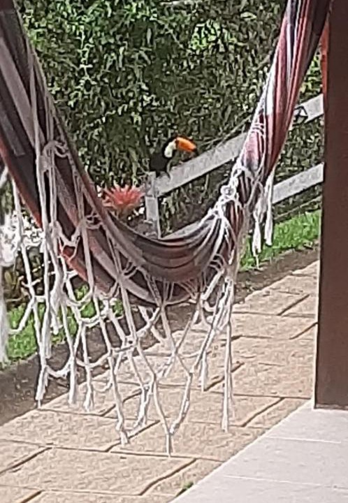 Photo of Others in Teresopolis