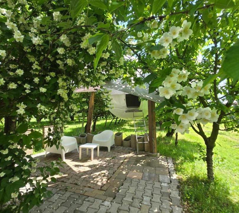 Photo of Others in Spresiano
