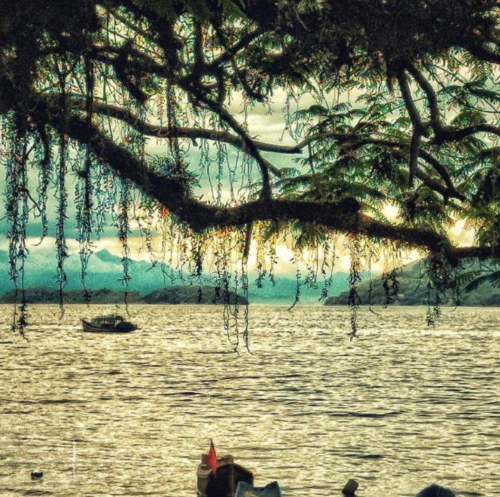 Photo of Others in Pontal