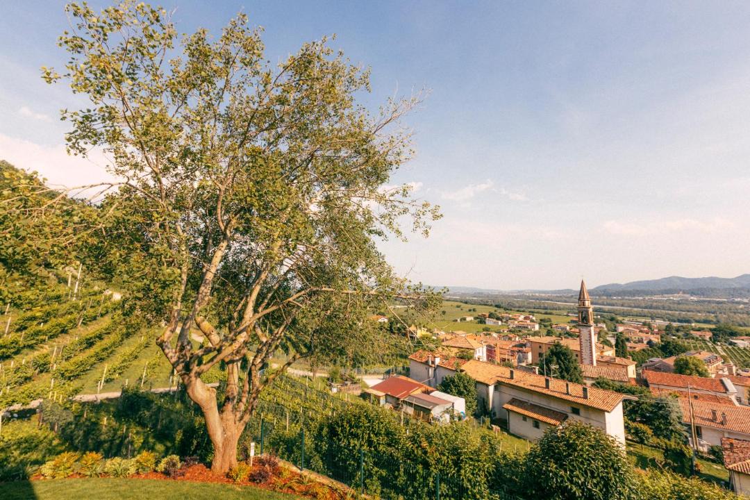 Photo of Others in Valdobbiadene