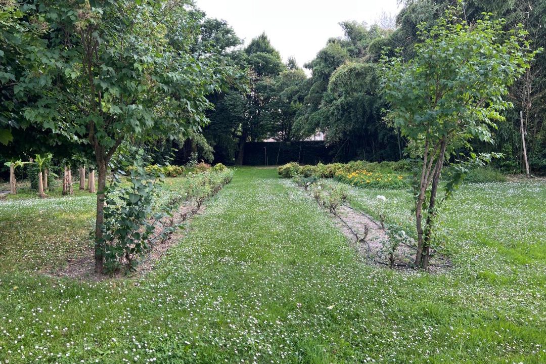 Photo of Outdoor in Cordignano