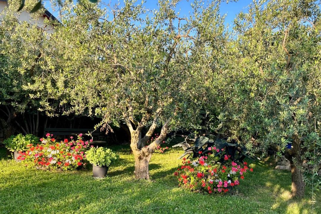 Photo of Others in Gargagnago di Valpolicella