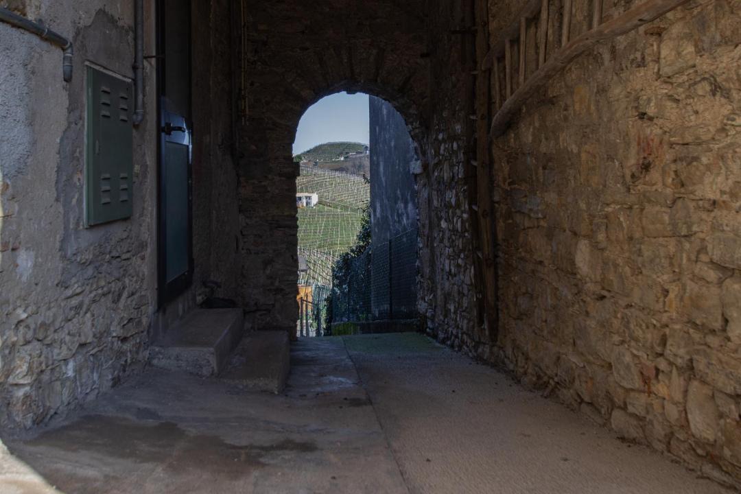Photo of Others in San Pietro di Barbozza