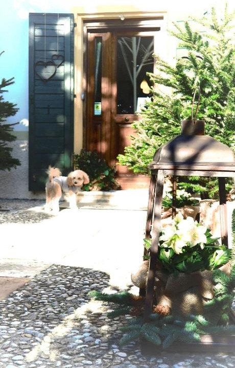 Photo of Others in Ponzano Veneto